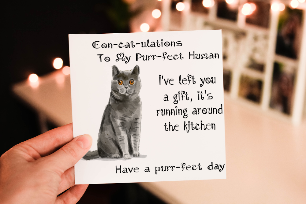 British Shorthair Cat Birthday Card, Cat Birthday Card